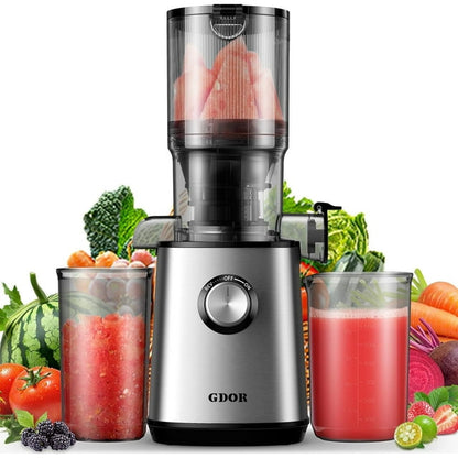 Cold Press Juicer Machines, 4.25'' Large Feed Chute Masticating Slow Juicer Fits Whole Fruits and Vegetables, Low Noise, Easy to Clean, Silver