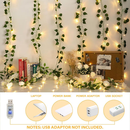 Window Curtain String Light for 3 Pack, ,300 LED Outdoor Indoor Wall Decoration，8 Modes Fairy Lights USB Remote Control Lights,Warm white(9.9x9.9 Ft)