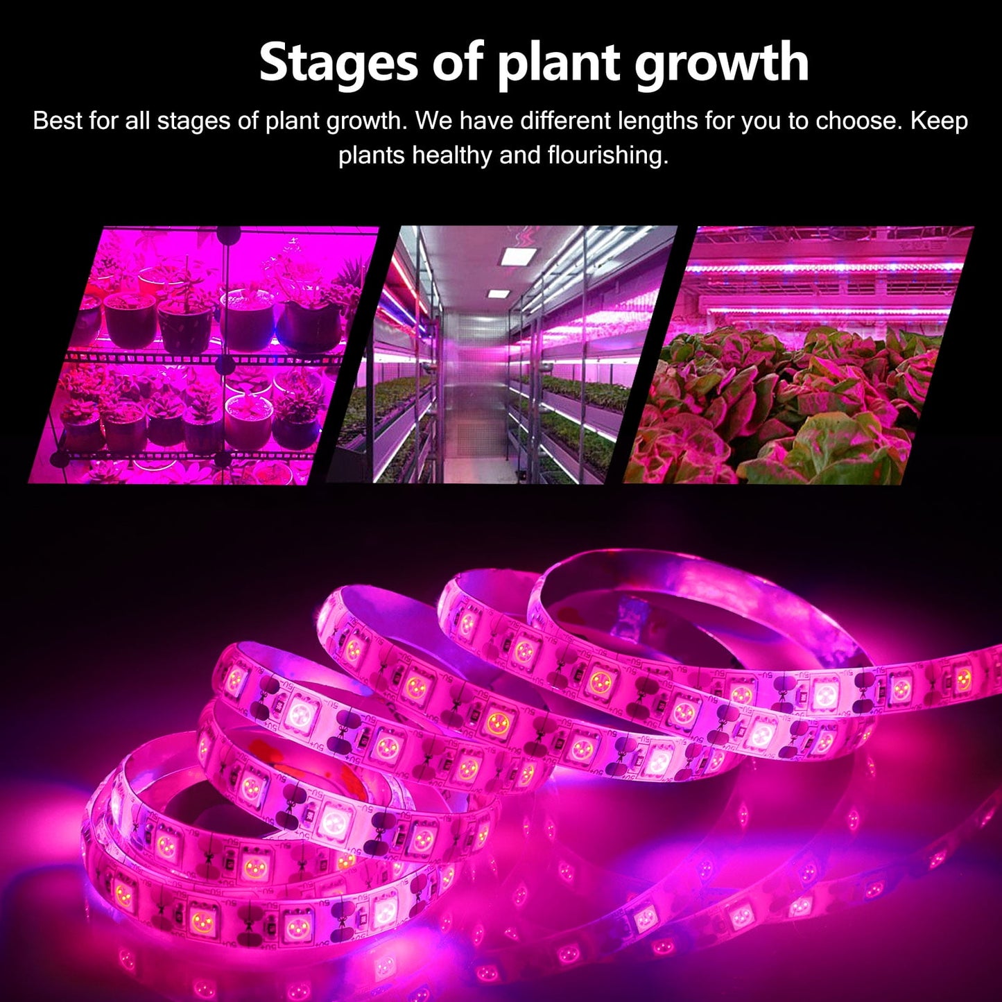 3 Pcs Grow Strip Lights for Indoor Plant, 16.4ft Full Spectrum LED Grow Light Flexible Plant Light Strips for Greenhouse Hydroponics Succulent Flower Vegetable